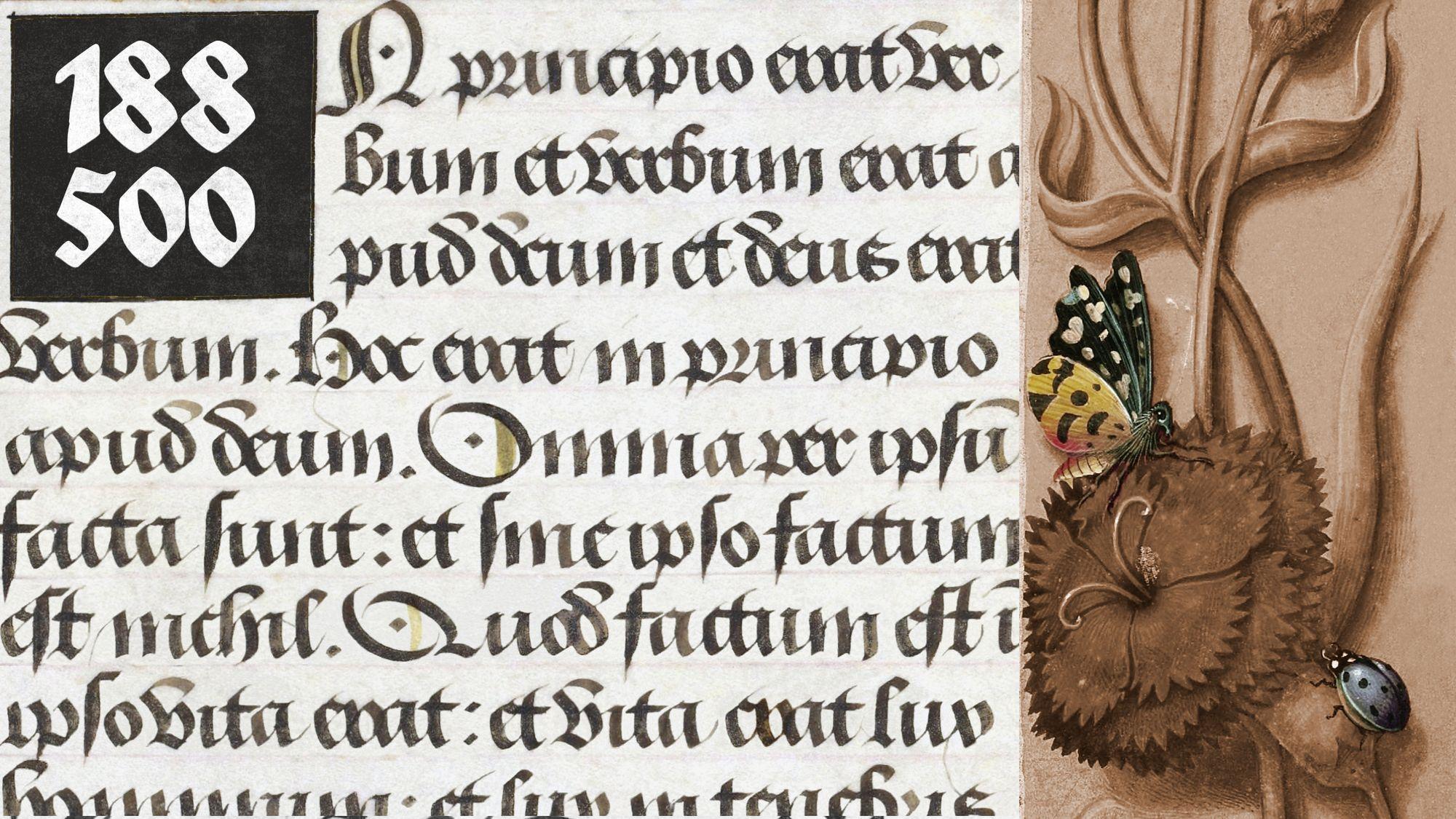 188,500 words later: How I built a solid writing habit